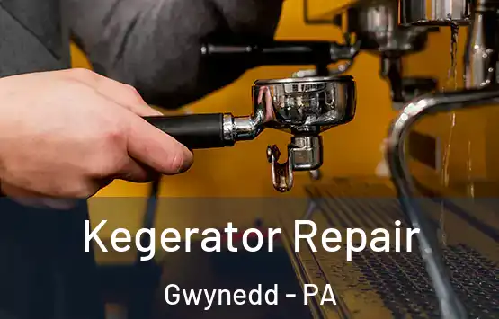  Kegerator Repair Gwynedd - PA
