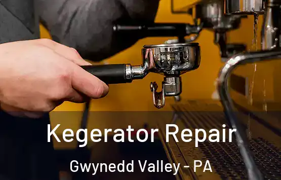  Kegerator Repair Gwynedd Valley - PA