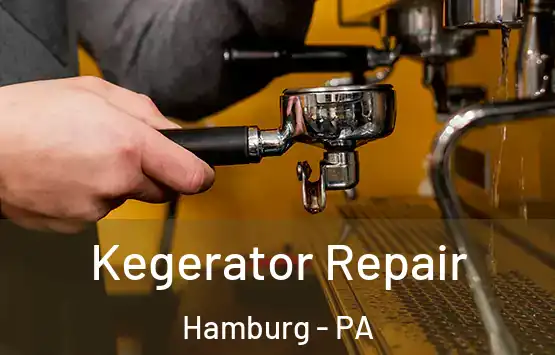  Kegerator Repair Hamburg - PA