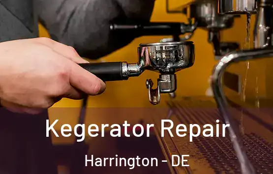  Kegerator Repair Harrington - DE