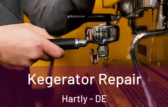  Kegerator Repair Hartly - DE