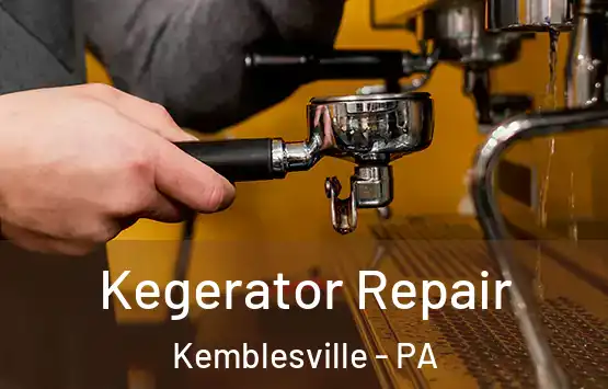 Kegerator Repair Kemblesville - PA