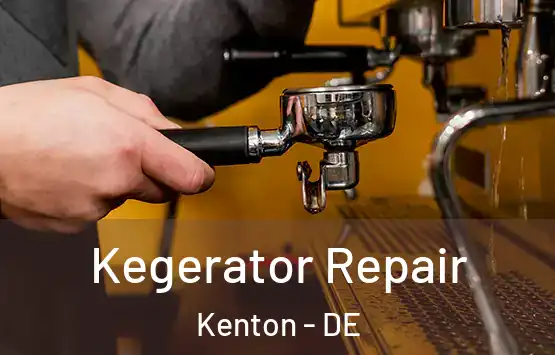  Kegerator Repair Kenton - DE