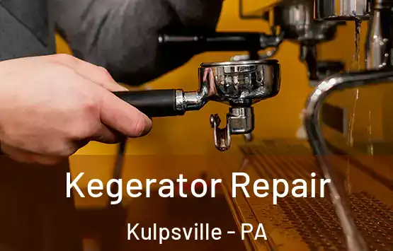  Kegerator Repair Kulpsville - PA