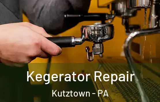  Kegerator Repair Kutztown - PA