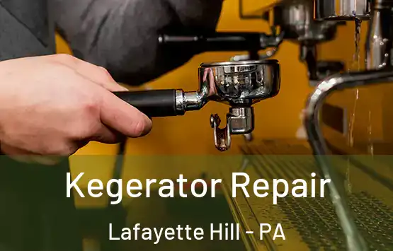  Kegerator Repair Lafayette Hill - PA