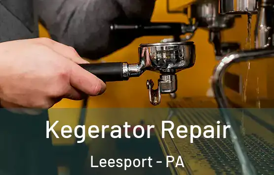 Kegerator Repair Leesport - PA