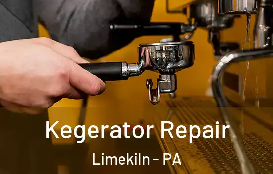  Kegerator Repair Limekiln - PA