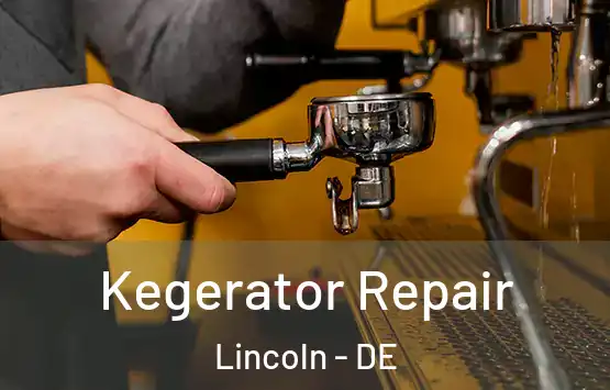  Kegerator Repair Lincoln - DE