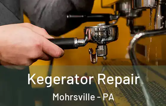  Kegerator Repair Mohrsville - PA