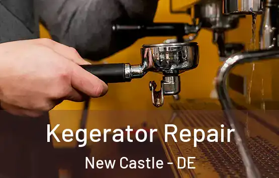  Kegerator Repair New Castle - DE
