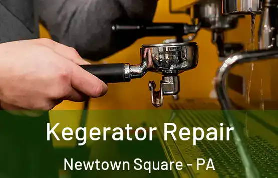  Kegerator Repair Newtown Square - PA