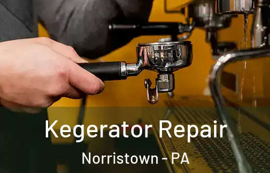  Kegerator Repair Norristown - PA