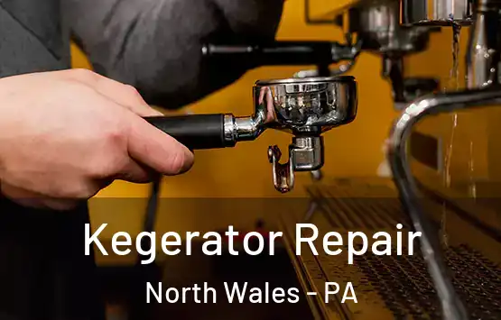  Kegerator Repair North Wales - PA