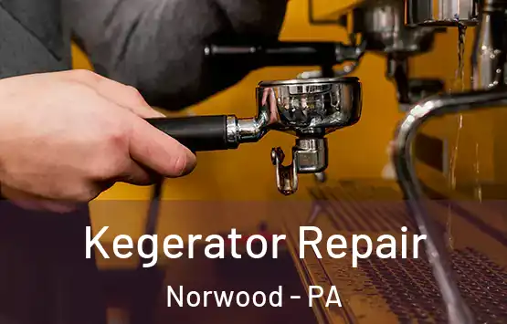  Kegerator Repair Norwood - PA