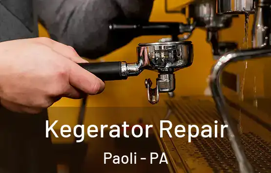  Kegerator Repair Paoli - PA