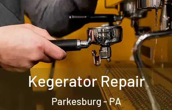  Kegerator Repair Parkesburg - PA