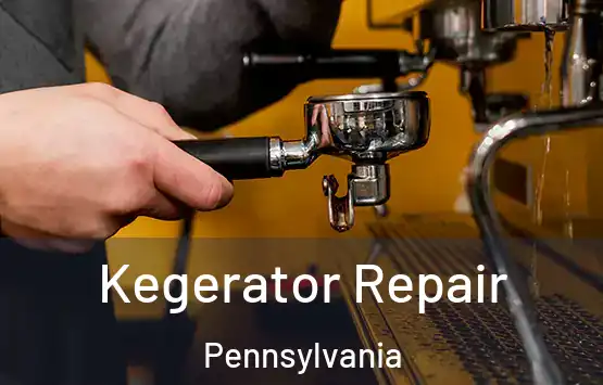  Kegerator Repair Pennsylvania