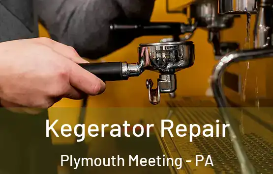  Kegerator Repair Plymouth Meeting - PA