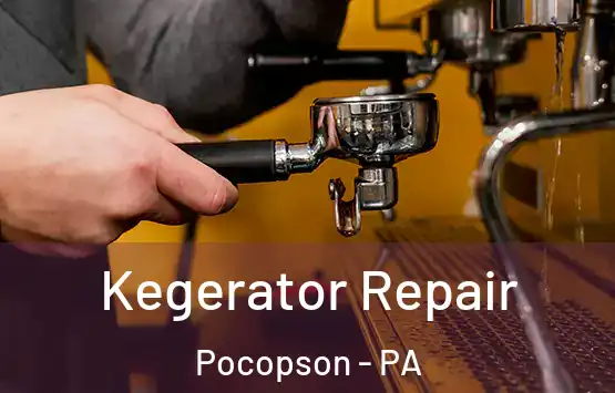  Kegerator Repair Pocopson - PA
