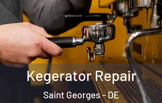  Kegerator Repair Saint Georges - DE