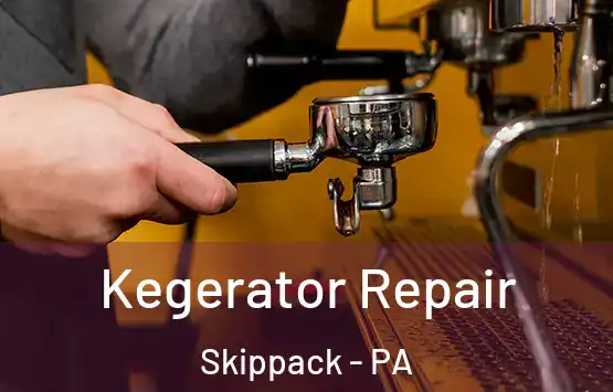  Kegerator Repair Skippack - PA