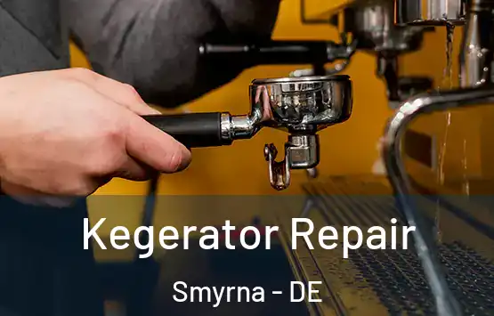  Kegerator Repair Smyrna - DE