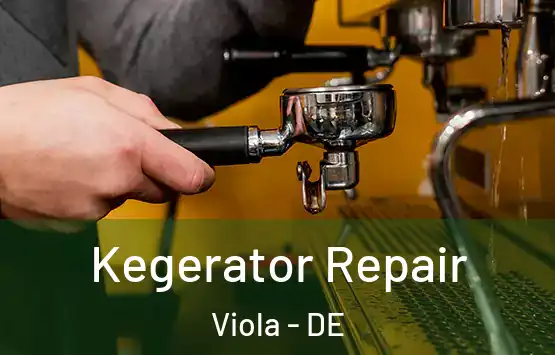  Kegerator Repair Viola - DE