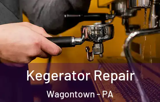  Kegerator Repair Wagontown - PA
