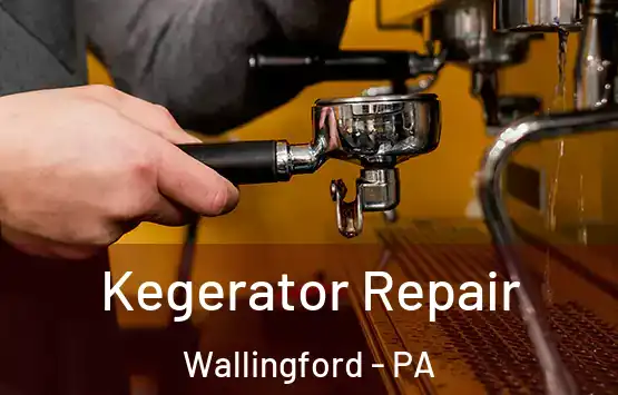  Kegerator Repair Wallingford - PA