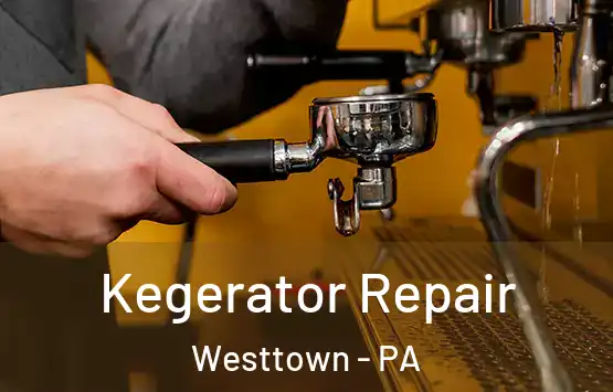  Kegerator Repair Westtown - PA