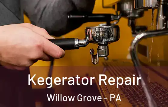  Kegerator Repair Willow Grove - PA