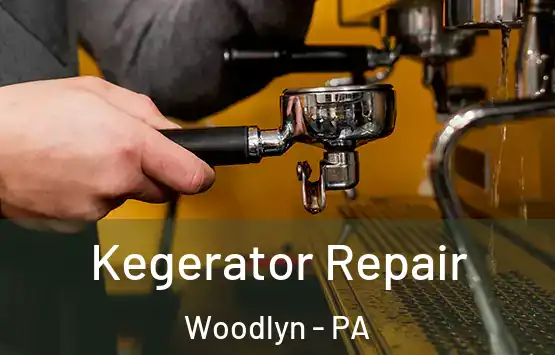  Kegerator Repair Woodlyn - PA