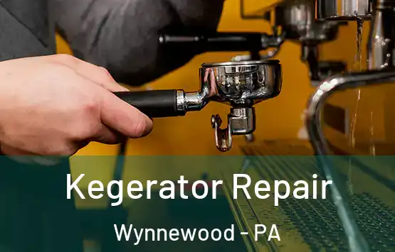  Kegerator Repair Wynnewood - PA