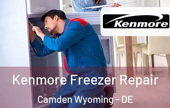  Kenmore Freezer Repair Camden Wyoming - DE