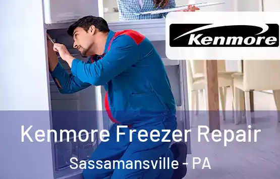  Kenmore Freezer Repair Sassamansville - PA