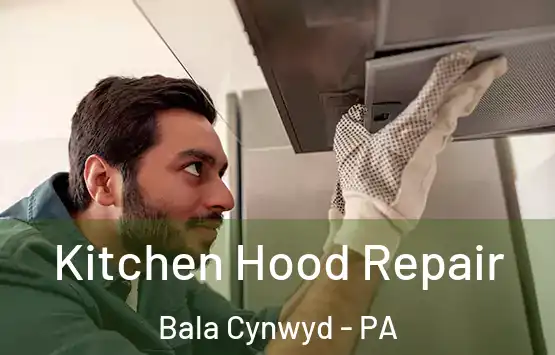  Kitchen Hood Repair Bala Cynwyd - PA