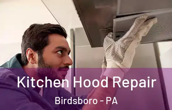  Kitchen Hood Repair Birdsboro - PA