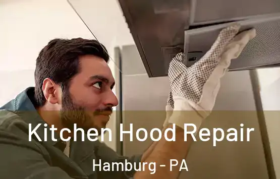  Kitchen Hood Repair Hamburg - PA