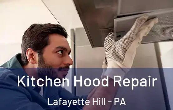  Kitchen Hood Repair Lafayette Hill - PA