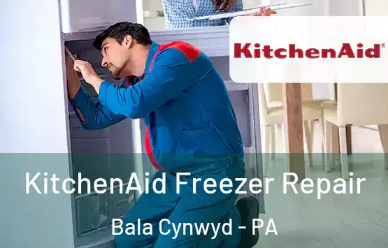  KitchenAid Freezer Repair Bala Cynwyd - PA