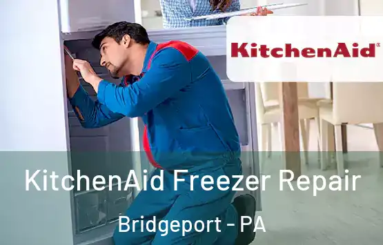  KitchenAid Freezer Repair Bridgeport - PA