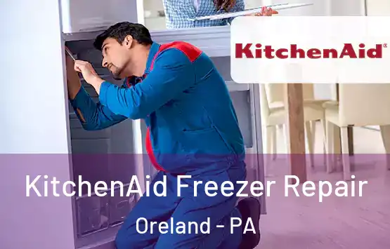  KitchenAid Freezer Repair Oreland - PA