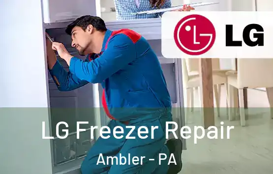  LG Freezer Repair Ambler - PA