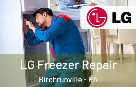  LG Freezer Repair Birchrunville - PA