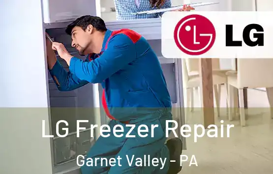  LG Freezer Repair Garnet Valley - PA