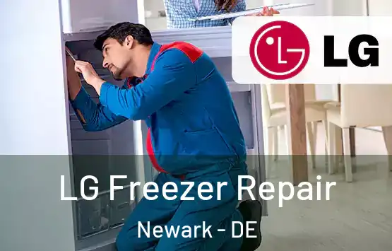 LG Freezer Repair Newark - DE
