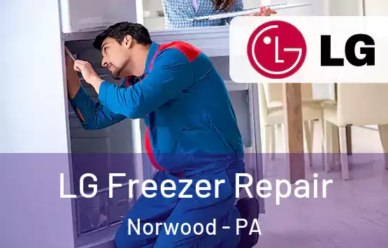  LG Freezer Repair Norwood - PA