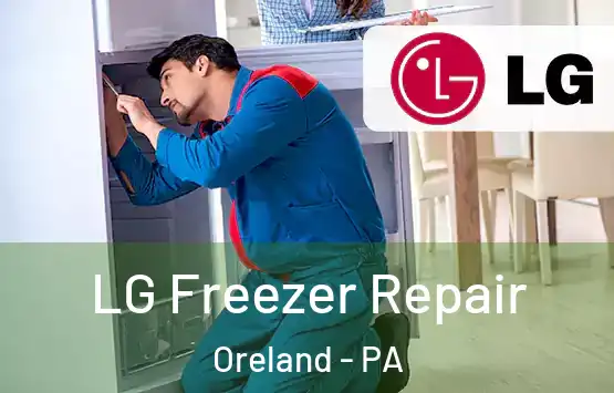 LG Freezer Repair Oreland - PA