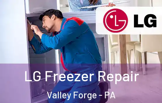 LG Freezer Repair Valley Forge - PA